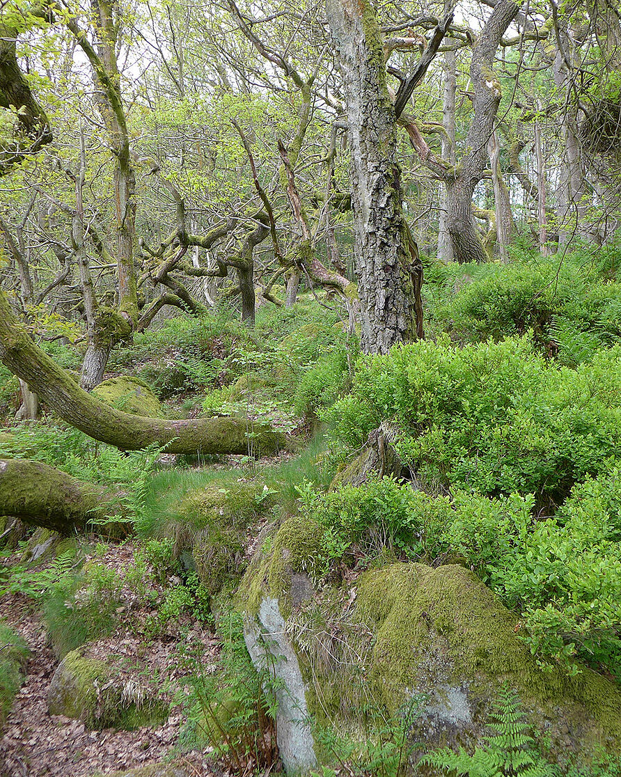 Peak District National Park in central-northern England.