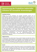 Bakterielle Cellulose
