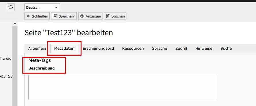 Screenshot des Backends: Seiteneigenschaften