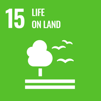SDG 15 Leben an Land