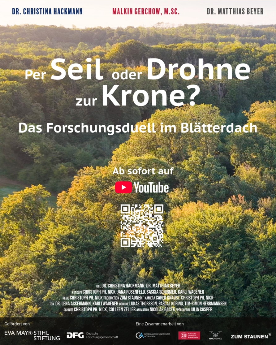 Plakat Per Seil oder Drohne zur Krone