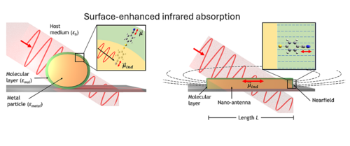 TOC https://doi.org/10.1038/s43586-023-00253-8