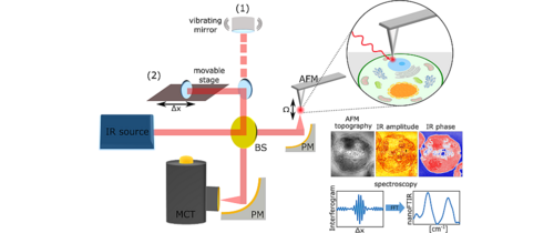 TOC 10.1017/qrd.2025.10014