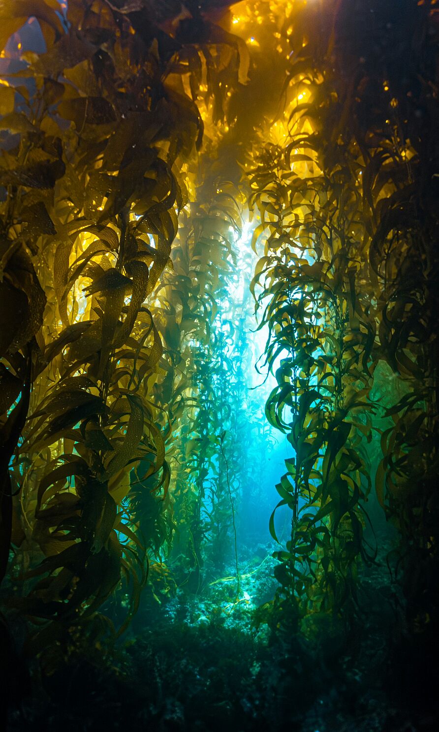 Foto von Erick Morales Oyola auf Unsplash