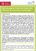 Optimierung der Produktion bakterieller Cellulose für innovative Anwendungen