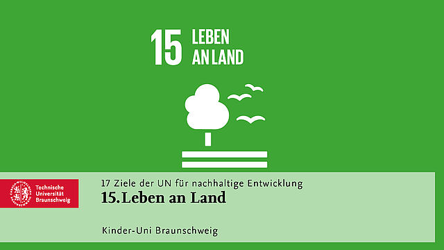 Ziel 15: Leben am Land