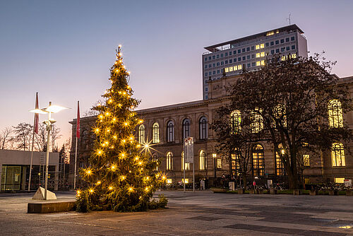 Leuchtender Weihnachtsbaum vor dem Altgebäude