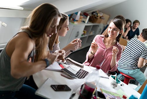 Studierende arbeiten in einer Gruppe zusammen