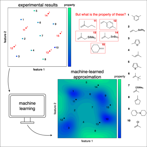 Liza Surzhikova: Research Overview