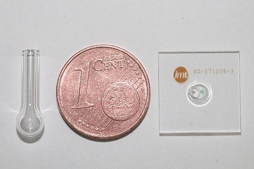 20 µL-Mikrokolbenreaktor und 7,5 µL-Mikroreaktor-Kavität zum Größenvergleich mit einer 1-Cent-Münze