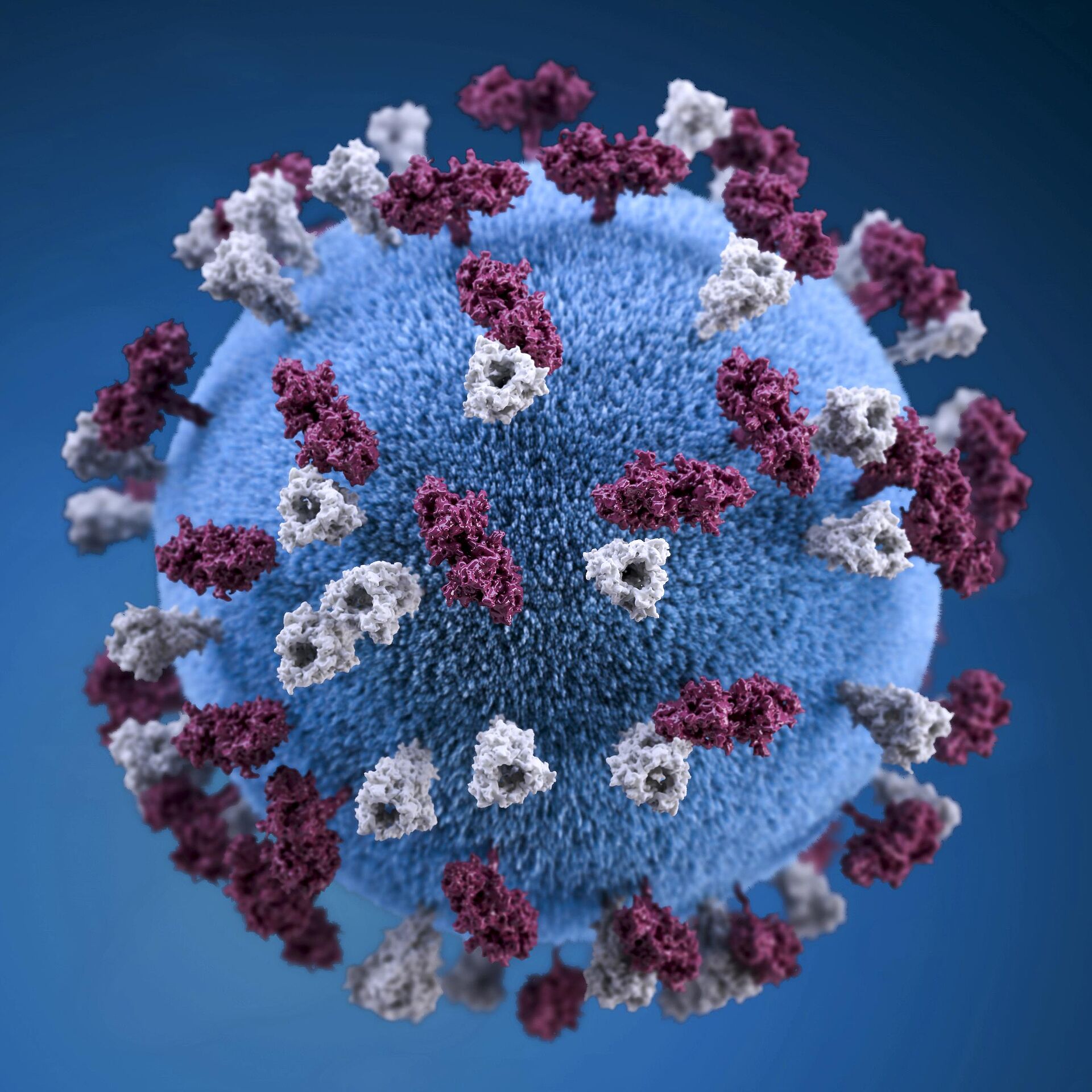 Abbild eines Corona Virus