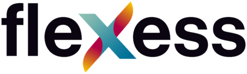 flexess logo