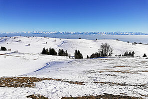 Blick auf die Alpen in schneebedeckter Winterlandschaft.