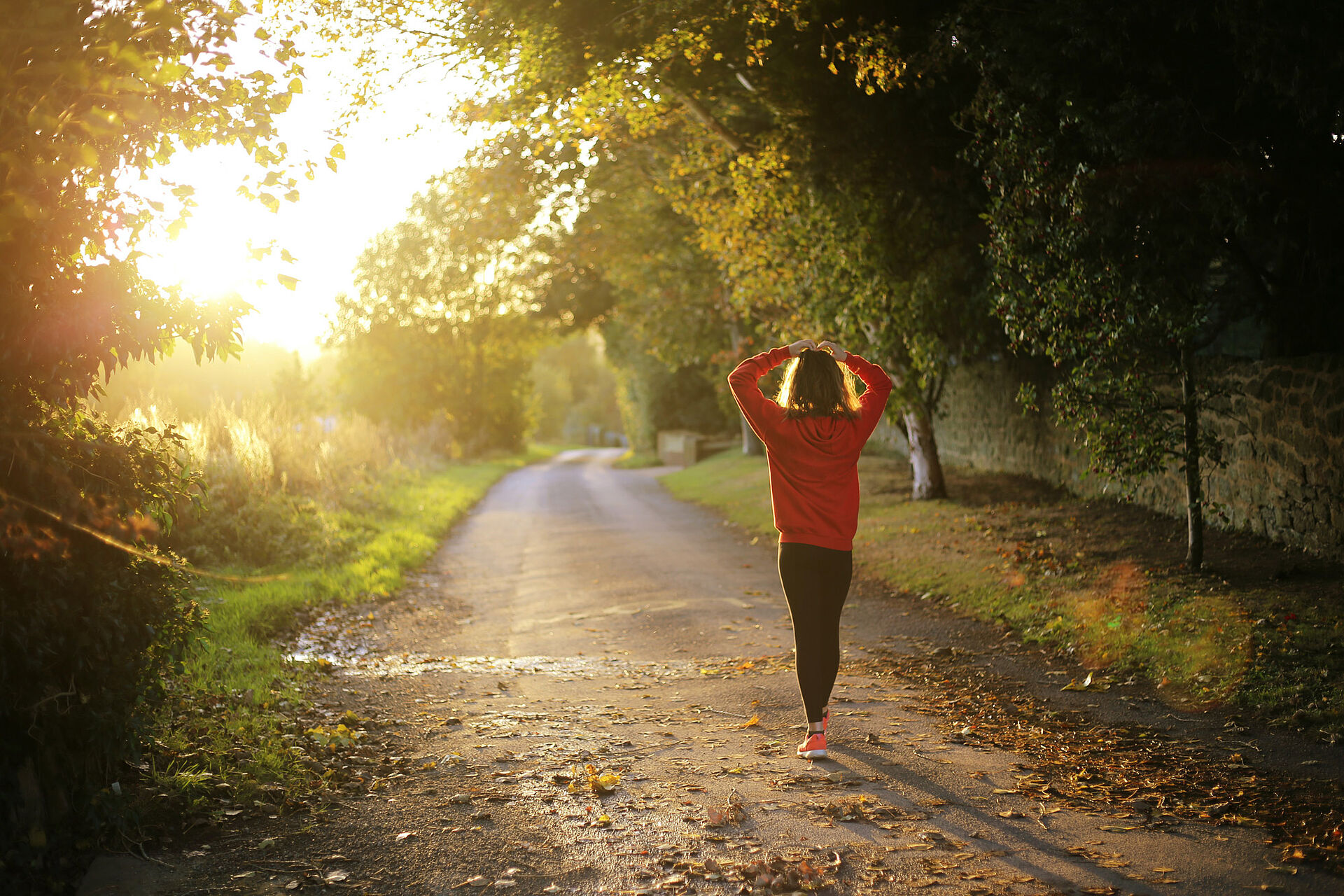 A young woman is jogging in the forest at sunset.