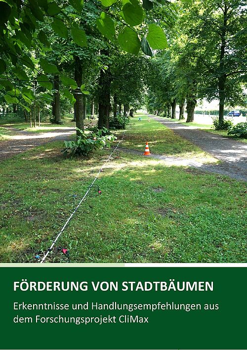 Leitfaden Förderung von Stadtbäumen