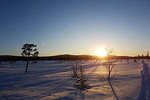 Winterlandschaft in schwedisch Lappland.