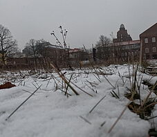 Neubau Chemie Gebäude 4277