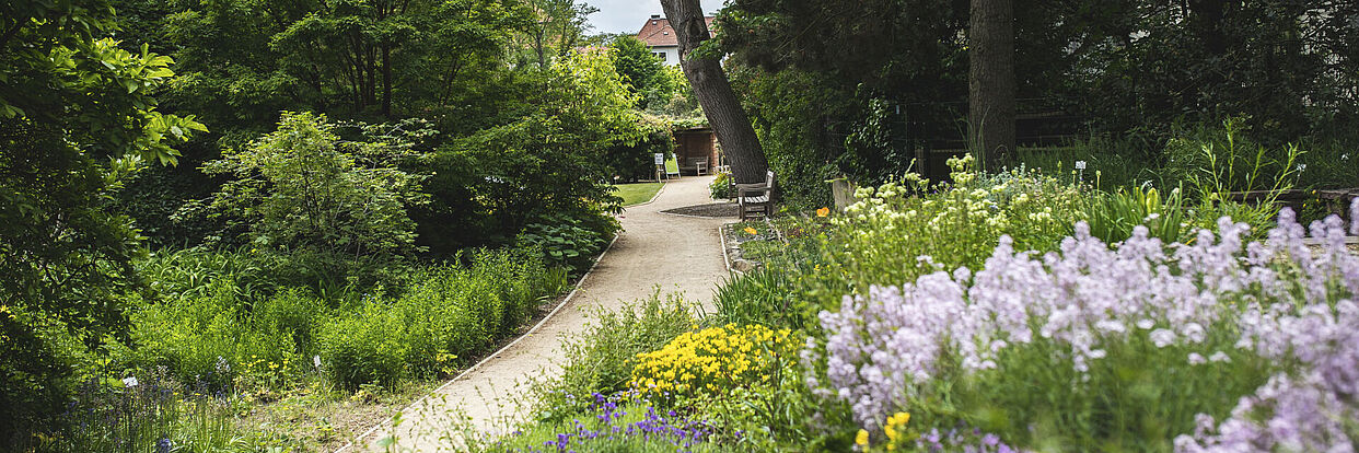 Botanischer Garten 