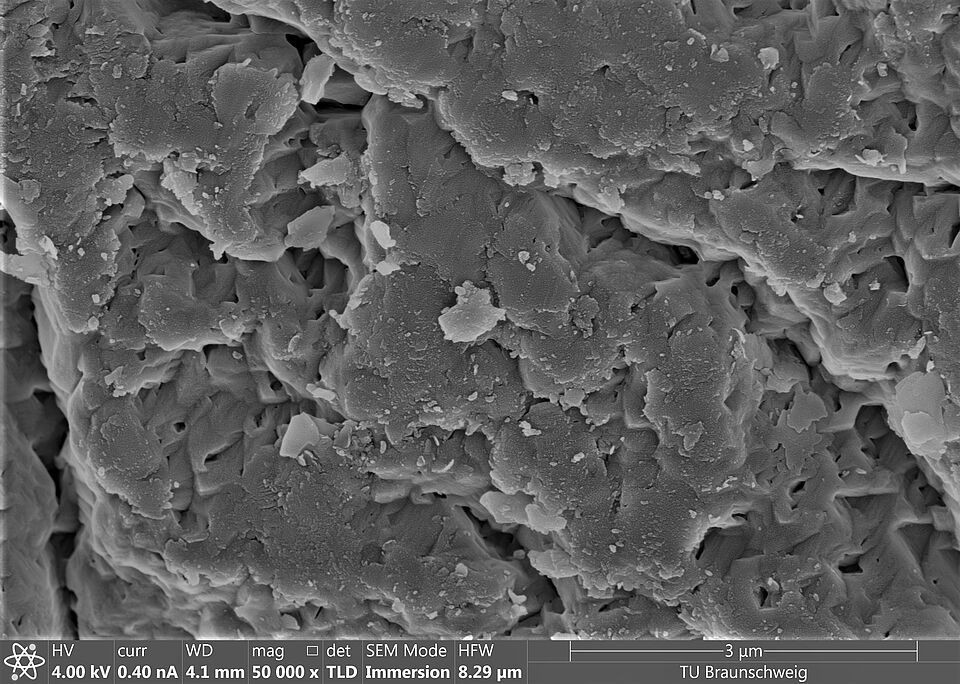REM-Bild von der Oberfläche eines unbeschichteten Sandpartikel.