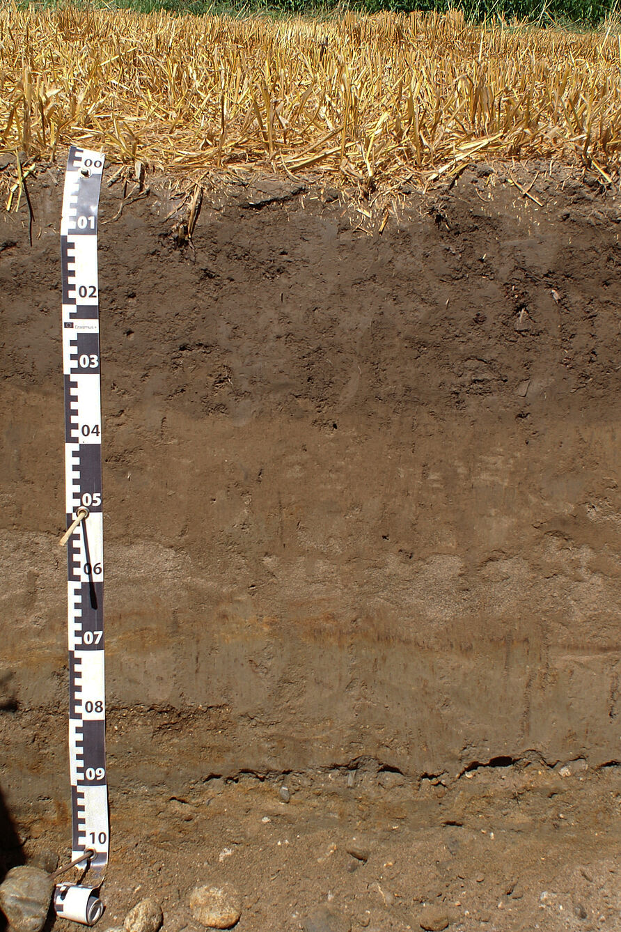 Calcaric Stagnic Pantofluvic FLUVISOL (Polyarenic, Polyloamic, Aric, Humic) 