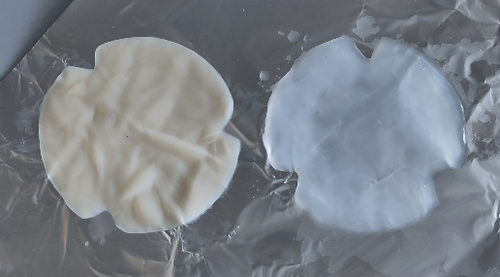 Bakterielle Cellulose, produziert im Schüttelkolben