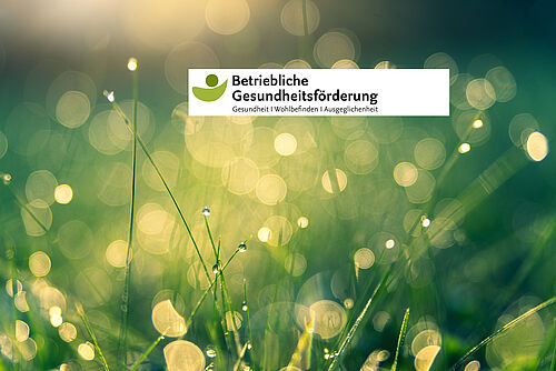 TU BS BGF Kurs Progressive Muskelentspannung