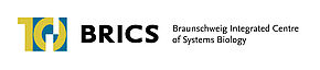 Logo BRICS der TU Braunschweig