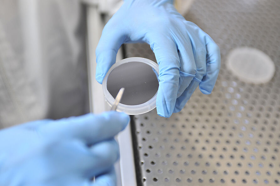 2-Zoll-Silizium-Scheibe, deren Oberfläche thermisch oxidiert werden soll.