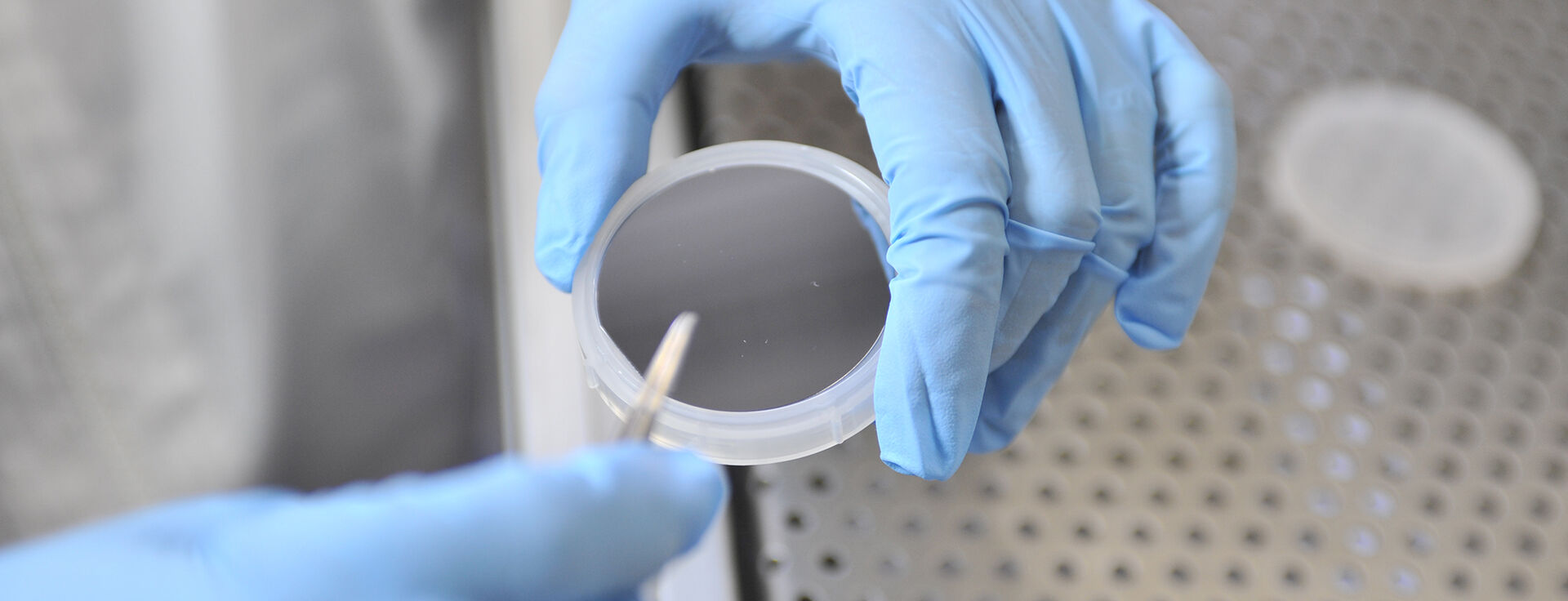 2-inch silicon wafer whose surface is to be thermally oxidized.