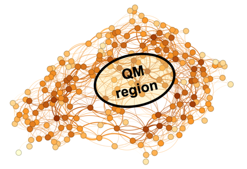 QM Region