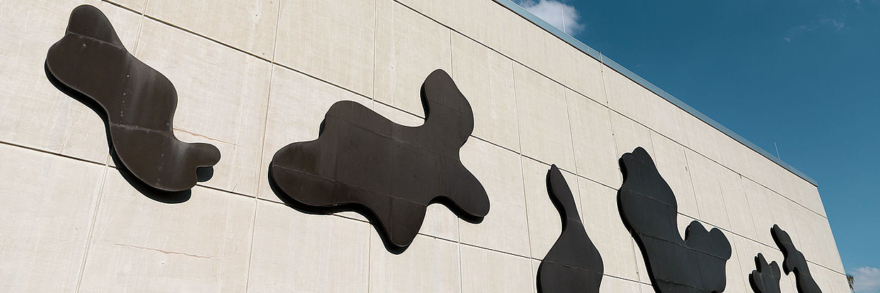 Clouds of Arp on the main lecture hall 