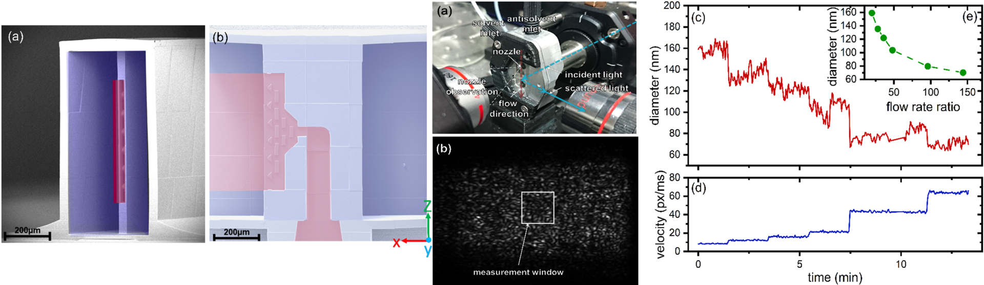 NanoGenSizer