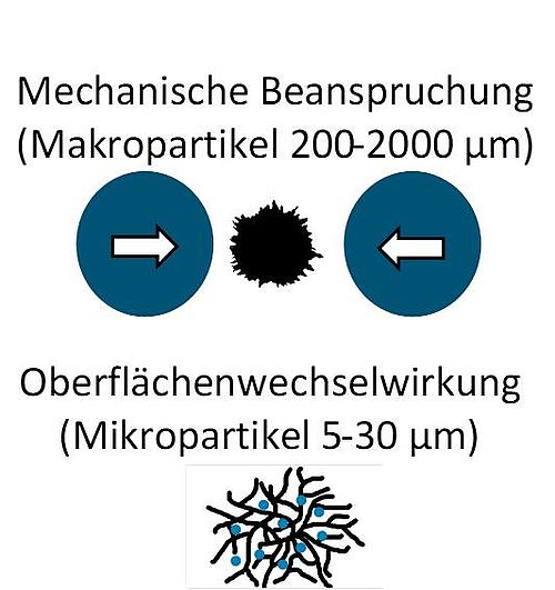 Projektbeschreibung_Schrinner