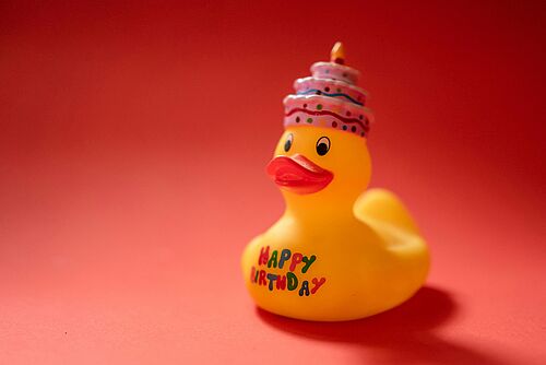 Eine Party Ente