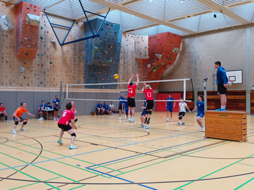 Volleyball DHM 