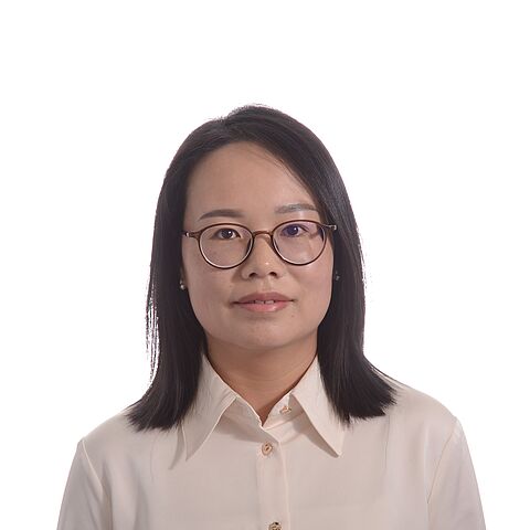Dr.-Ing. Hongwei Wang