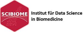 Logo des Insituts für Data Science in Biomedicine