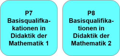 grafische Abbildung der Module P7 und P8 des Profilbereichs