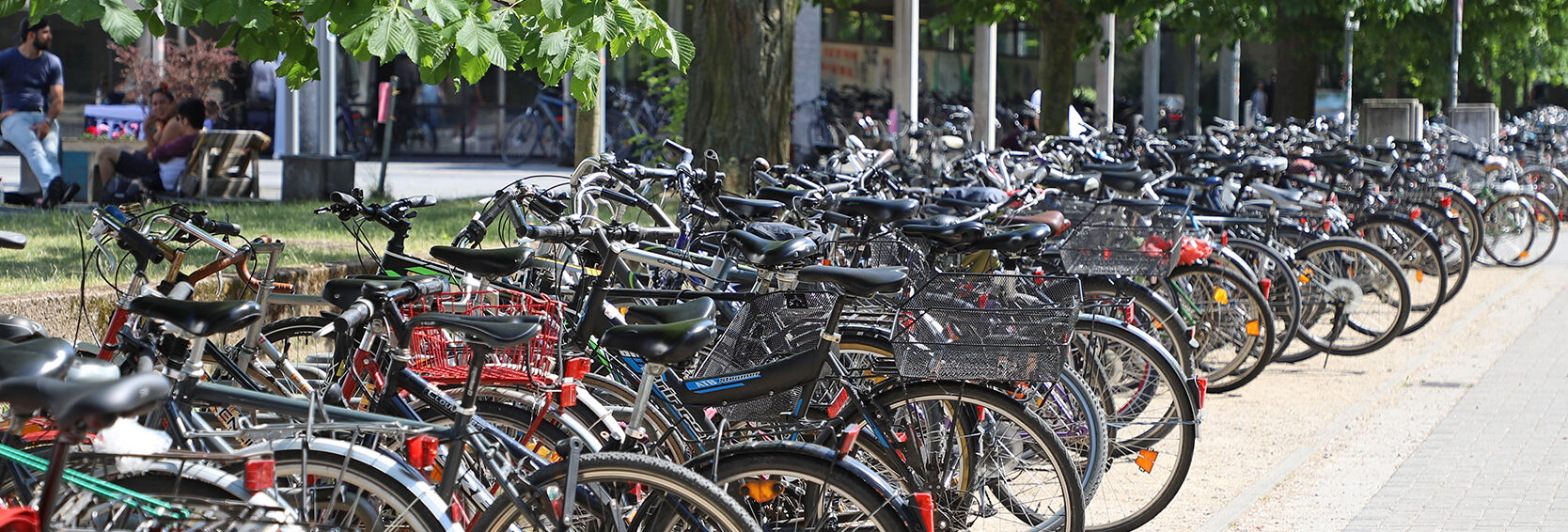 Bikes in front of the Forumsplatz