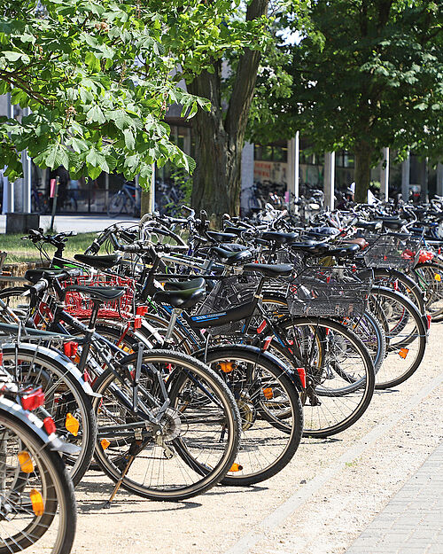 Bikes in front of the Forumsplatz
