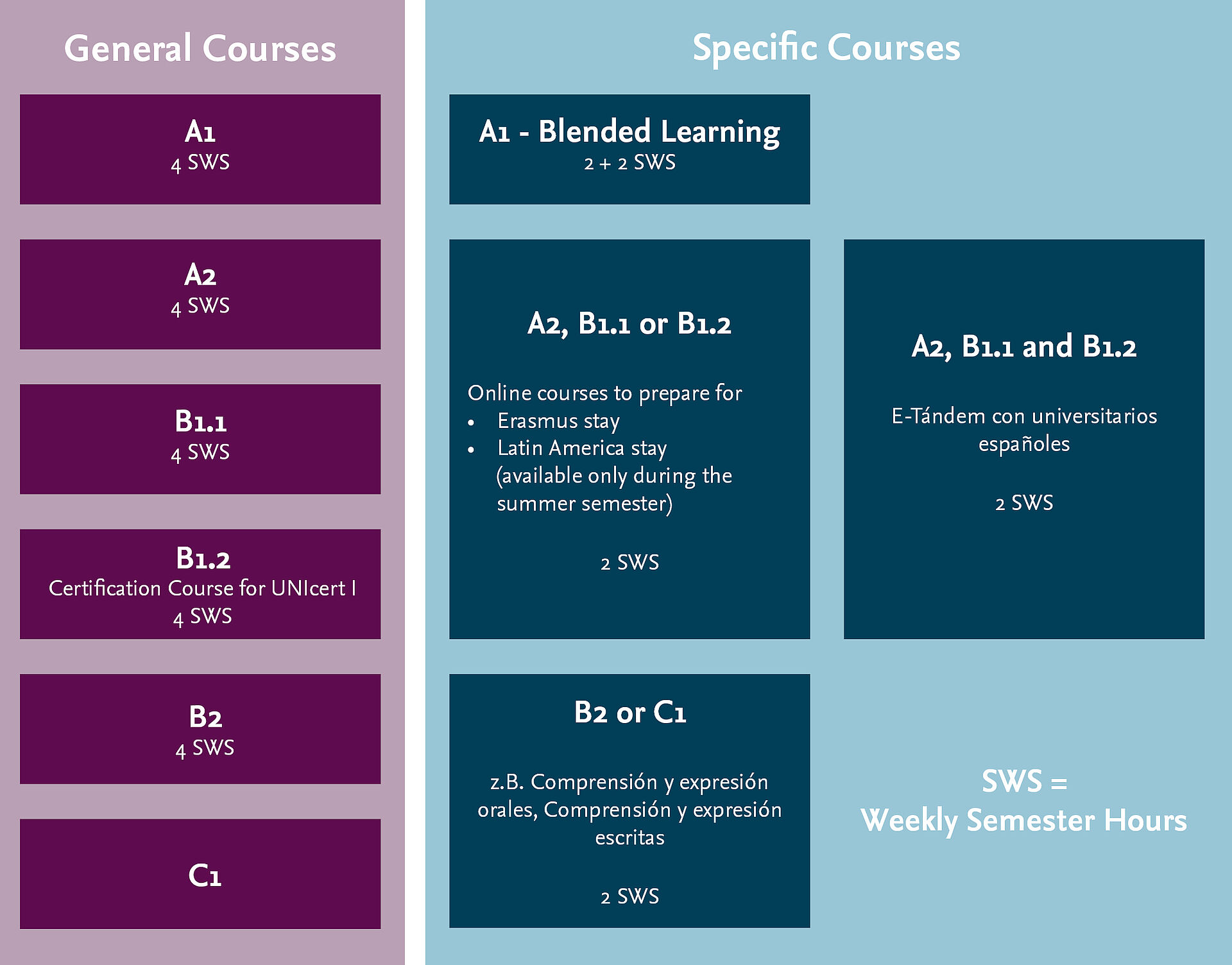 Graphic of the course structure for Spanish
