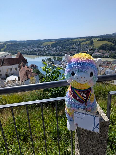 Leonie mit Aussicht auf Passau