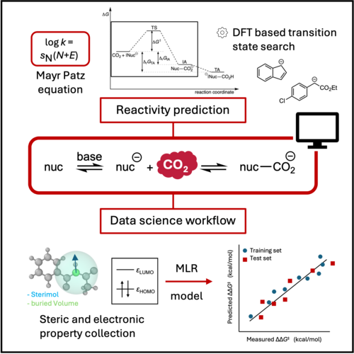 Maike Eckhoff: Research Overview