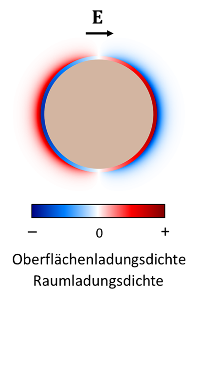 Polarisation der elektrischen Doppelschicht und des angrenzenden Elektrolyts durch ein von außen angelegtes elektrisches Feld E.