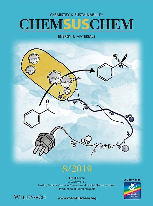 Front cover of the ChemSusChem 8/2019 issue.