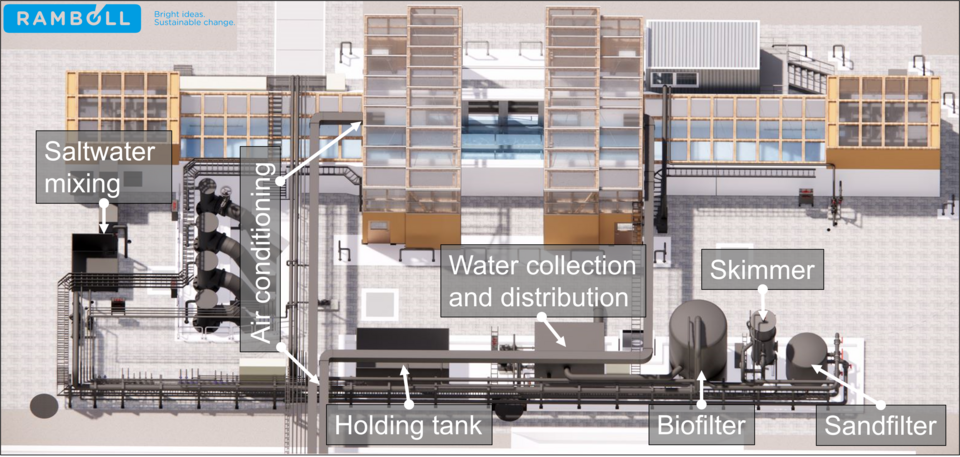 SWS-Kanal Wasseraufbereitung