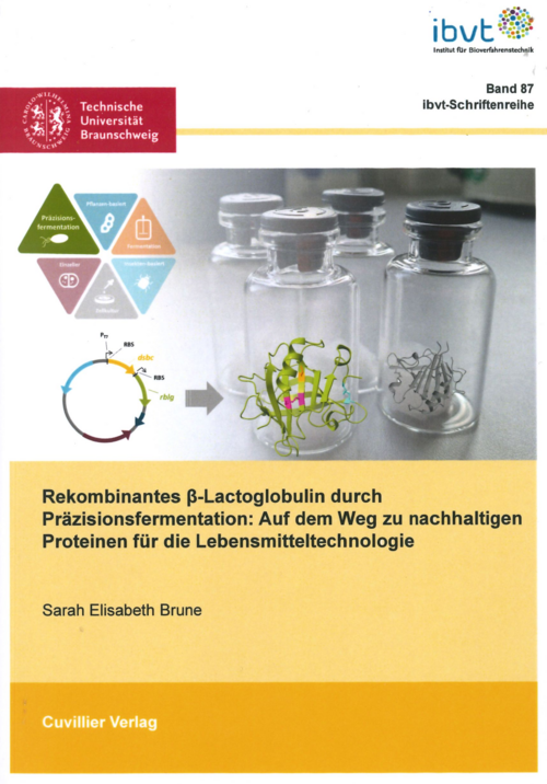 ibvt Schriftreihe Band 87, Sarah Brune, Titelbild