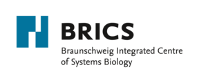 Logo Braunschweiger Zentrum für Systembiologie (BRICS) der TU Braunschweig