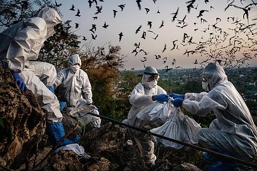 Dokumentarfilm Blame