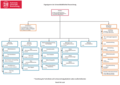 Organigramm der UB Braunschweig
